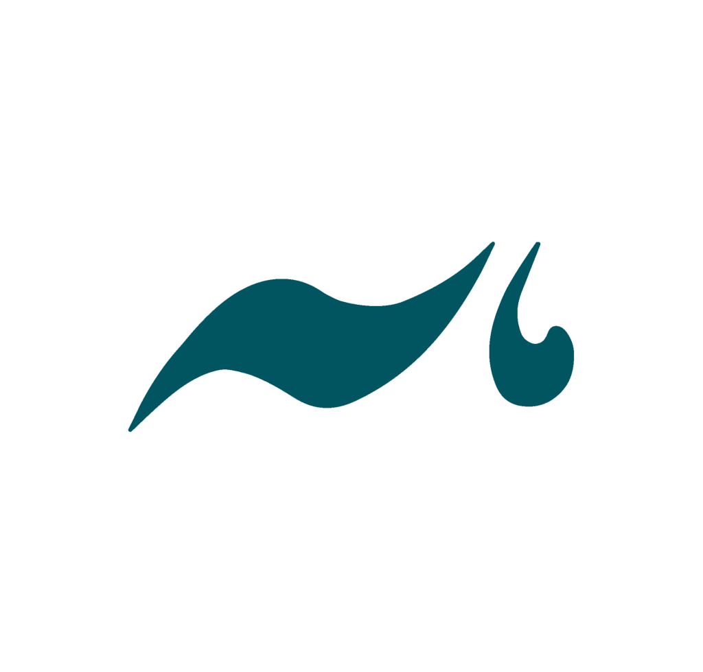 hum sar logo png